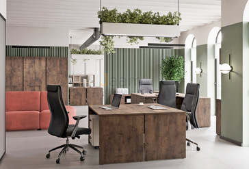 Кабинет руководителя Lemo